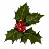 christmas10