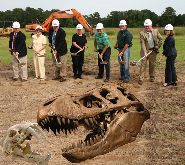 dinosaur skeleton in the ground